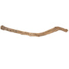 Vickerman H4CHO030 Cholla Natural 36-41" Piece Dried