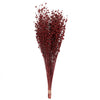 Vickerman H4FLL475 Natural Botanicals 20-22" Red Dried Flax Linum 4 Oz. Bunch.