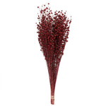 Vickerman H4FLL475 Natural Botanicals 20-22" Red Dried Flax Linum 4 Oz. Bunch.