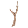 Vickerman H4GHW24SB Ghostwood Manzanita Sand Blasted 24" Dried