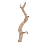 Vickerman H4GHW36SB Ghostwood Manzanita Sand Blasted 36" Dried