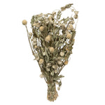 Vickerman H4GOM000 Natural Botanicals 17-19" Cream Dried Gomphrena Globe Amaranth 4 Oz. Bunch.
