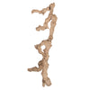 Vickerman H4GRBSB24 Grapewood Sand Blasted Branch 24" Dried