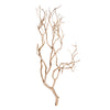 Vickerman H4MANSB2 Manzanita Tree Sand Blasted 24" Dried