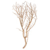 Vickerman H4MANSB3 Manzanita Tree Sand Blasted 36" Dried