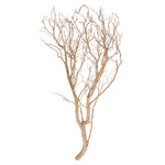 Vickerman H4MANSB3 Manzanita Tree Sand Blasted 36" Dried