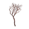 Vickerman H4MANV2 Manzanita Tree Natural 24" Dried