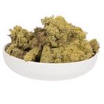 Vickerman H4RDM105-2 Light Green Preserved Reindeer Moss 2 Lbs Per Box
