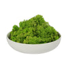 Vickerman H4RDM125-2 Natural Botanicals 2 Lb. Apple Green Reindeer Moss. This Is A Natural And Preserved Product.