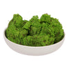 Vickerman H4RDM150-2 Grass Green Preserved Reindeer Moss 2 Lbs Per Box