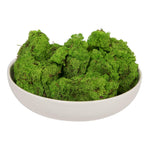 Vickerman H4RDM150 Box Grass Green Moss Reindeer- 9 Lb Bulk Preserved