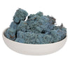 Vickerman H4RDM505-2 Natural Botanicals 2 Lb. Light Blue Reindeer Moss Preserved.