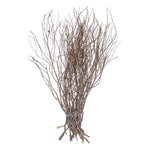 Vickerman H4TIW000 36" Tigerwood Bundle 25 Stems Per Bundle  Dried