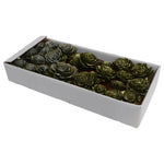 Vickerman H6SOL2024 2"- 6" Olive Green Sola Rose Assorted 23 Per Window Box Dried