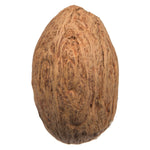 Vickerman H7AMR000 Natural Botanicals 1.18" Amra Pod Natural. Includes 4.4 Lbs Per Pack