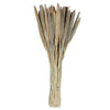 Vickerman H7BAB000 Natural Botanicals 24" Babala Natural. Includes 75 Pieces Per Unit.