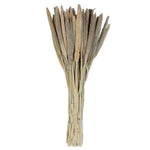 Vickerman H7BAB000 Natural Botanicals 24" Babala Natural. Includes 75 Pieces Per Unit.