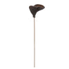 Vickerman H7BAD000 Natural Botanicals 20" Stem Badam. Includes 25 Stems Per Pack