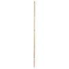 Vickerman H7BAR000-1 Natural Botanicals 40" Bamboo Reed Natural Clean. Includes 100 Pieces Per Pack.