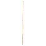 Vickerman H7BAR000-1 Natural Botanicals 40" Bamboo Reed Natural Clean. Includes 100 Pieces Per Pack.