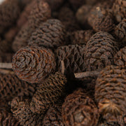 Vickerman H7BIP000 Natural Botanicals 0.8