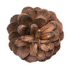 Vickerman H7BLPS000 Natural Botanicals 1.5" Blue Pine Natural. Includes 100 Pieces Per Unit
