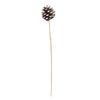 Vickerman H7BPS900 Natural Botanicals 20" Blue Pine White Tip On Stem. Includes 50 Stems Per Pack.