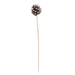 Vickerman H7BPS900 Natural Botanicals 20" Blue Pine White Tip On Stem. Includes 50 Stems Per Pack.