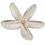 Vickerman H7BUF999 Natural Botanicals 2"-3" Bullet Flower Bleached 50 Pcs/Unit. Includes 50 Pieces Per Unit.