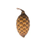 Vickerman H7CAF000 Natural Botanicals 0.8-1.2 Inch Cane Fruit Natural. Dried Preserved Natural Product.