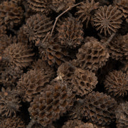 Vickerman H7CAS000 Natural Botanicals 0.6