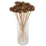 Vickerman H7CERS000 Natural Botanicals 1.3"-1.75" Cedar Rose Natural On Stem. Includes 50 Pieces Per Polybag.