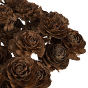 Vickerman H7CERS000 Natural Botanicals 1.3