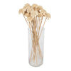 Vickerman H7CERS999 Natural Botanicals 1.3"-1.75" Cedar Rose Bleached On Stem. Includes 50 Pieces Per Polybag.