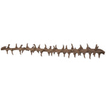 Vickerman H7COE000 Natural Botanicals 32" Coco Exotica Natural 2   Pieces Per Pack.
