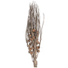 Vickerman H7COJ000 Natural Botanicals 32" Coco Jhar Natural. Includes 10  Pieces Per Pack.