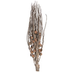 Vickerman H7COJ000 Natural Botanicals 32" Coco Jhar Natural. Includes 10  Pieces Per Pack.