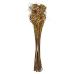 Vickerman H7CTT008 Natural Botanicals 24"-28" Curly Ting Ting Gold With Gold Glitter. 5 Bunches Per Pack.