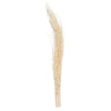 Vickerman H7KHJ999 Natural Botanicals 8"-12" Khejur Jhar Bleached. Includes 25 Pieces Per Pack.