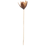 Vickerman H7LIL000 Natural Botanicals 20" Lily On Stem. Includes 50 Stems Per Pack