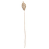 Vickerman H7LTL000 Natural Botanicals 20" Lata Lamp On Stem. Includes 25 Pieces Per Pack.