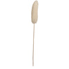 Vickerman H7LUF999 Natural Botanicals 20" Luffa On Stem Bleached. Includes 25 Stems Per Pack.