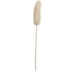 Vickerman H7LUF999 Natural Botanicals 20" Luffa On Stem Bleached. Includes 25 Stems Per Pack.