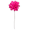 Vickerman H7MAD425 Natural Botanicals 6" Raspberry Maize Dahlia. 6 Stem/Bag. Dried And Preserved.