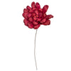 Vickerman H7MAD450 Natural Botanicals 6" Bordeaux Maize Dahlia On 18" Wire Stem- 6 Stem/Bag. Dried And Preserved.