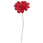 Vickerman H7MAD475 Natural Botanicals 6" Red Maize Dahlia. 6 Stem/Bag. Dried And Preserved.