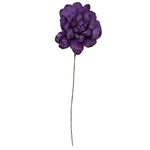 Vickerman H7MAD575 Natural Botanicals 6" Violet Maize Dahlia. 6 Stem/Bag. Dried And Preserved.