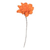 Vickerman H7MAD750 Natural Botanicals 6" Orange Maize Dahlia On 18" Wire Stem- 6 Stem/Bag. Dried And Preserved.