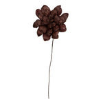 Vickerman H7MAD800 Natural Botanicals 6" Brown Maize Dahlia On 18" Wire Stem- 6 Stem/Bag. Dried And Preserved.