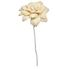 Vickerman H7MAD999 Natural Botanicals 6" Bleached Maize Dahlia On 18" Wire Stem- 6 Stem/Bag. Dried And Preserved.